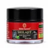 Global Ayucare Pure Himalayan Shilajit