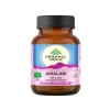 Organic India Amalaki Capsules