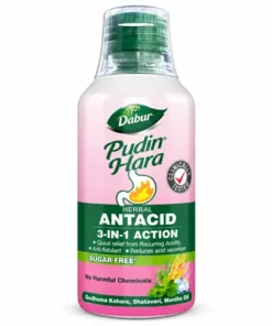 Dabur Pudin Hara Antacid Sugar Free