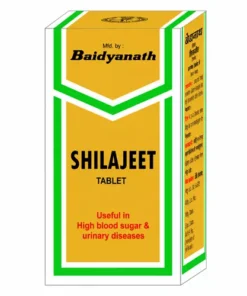 Baidyanath Shilajit Tablets
