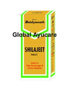 Baidyanath Shilajit Tablet