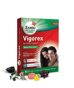 Zandu Vigorex Capsules