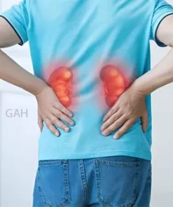 Ayurvedic Treatment For Kidney Stone