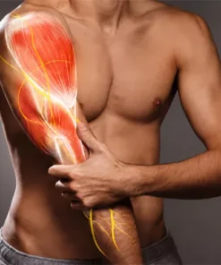 Ayurvedic Treatment For Muscular Pain