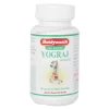 Baidyanath Yograj Guggulu Tablet