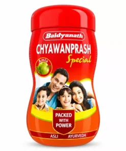 Baidyanath Chyawanprash Special