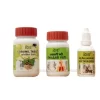 Patanjali Divya Coronil Kit