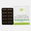 AVN Yogaraja Gulgulu DS Tablets