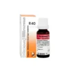 Dr. Reckeweg R40 Diabetes Drop