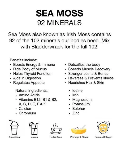 Nutritional Profile of Sea Moss